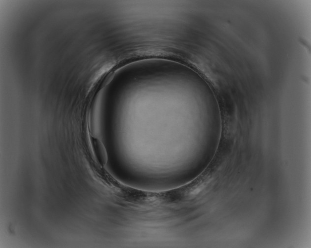 X0000095690111200801081257