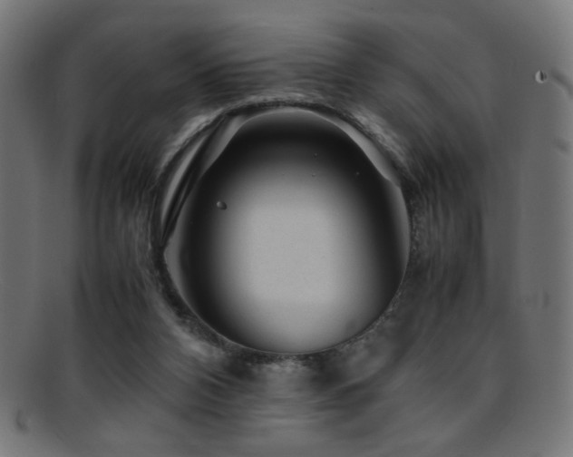 X0000095690112200801081257