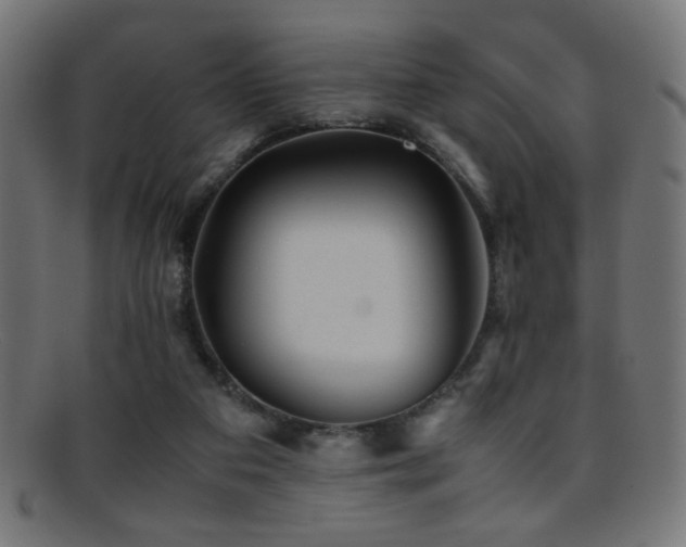 X0000095690113200801081256