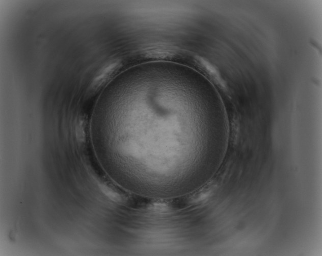 X0000095690114200801081256
