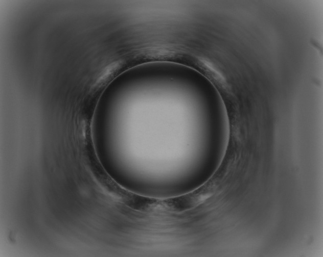 X0000095690115200801081256
