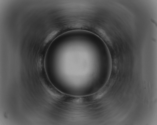 X0000095690116200801081256