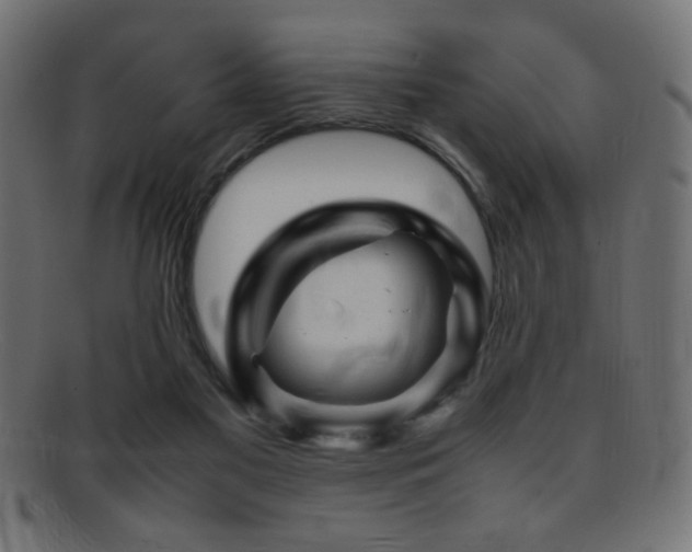 X0000095690117200801081256