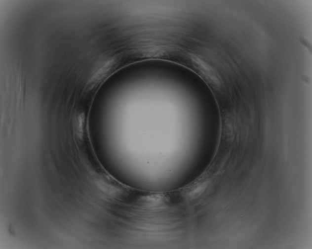 X0000095690118200801081256