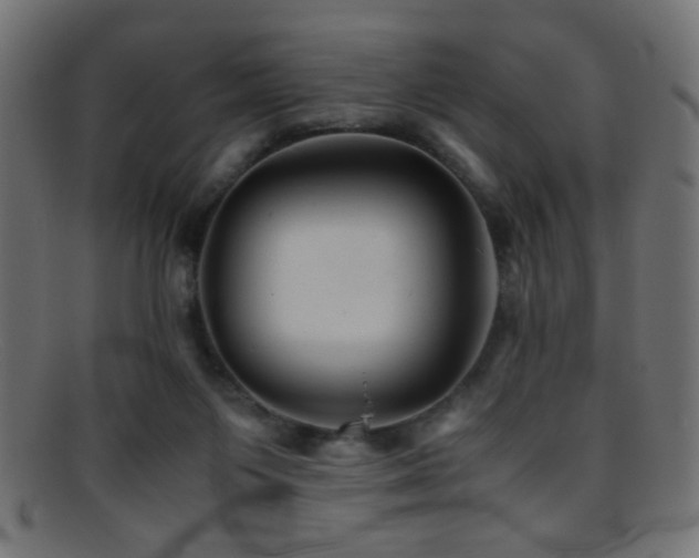 X0000095690119200801081256