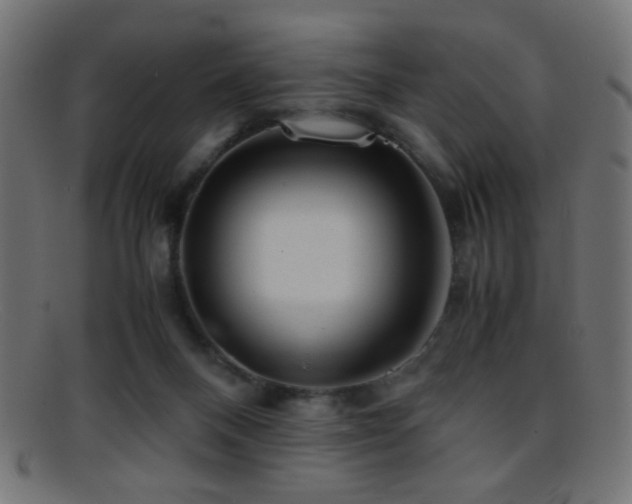 X0000095690120200801081256