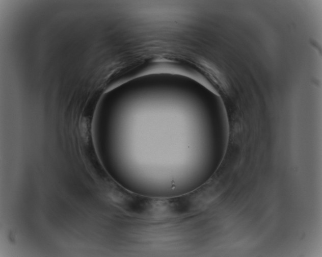 X0000095690121200801081256