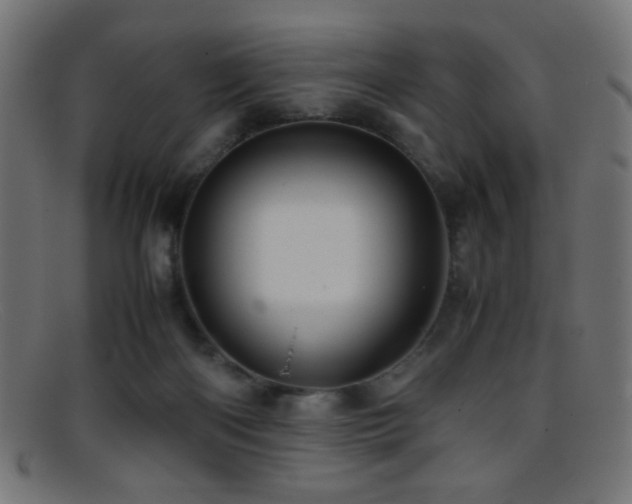X0000095690122200801081256