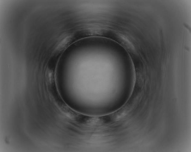 X0000095690123200801081256