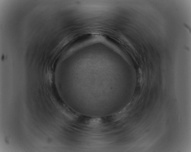 X0000095690124200801081256