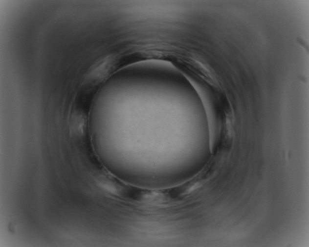 X0000095690125200801081256