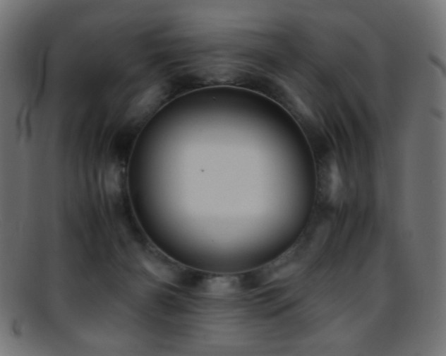 X0000095690126200801081256