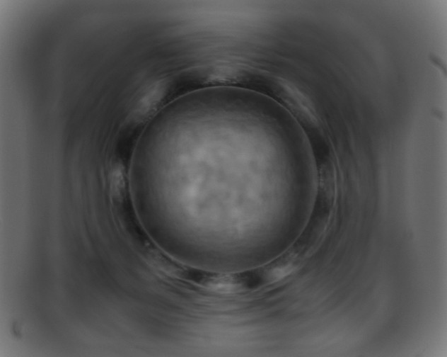 X0000095690127200801081256
