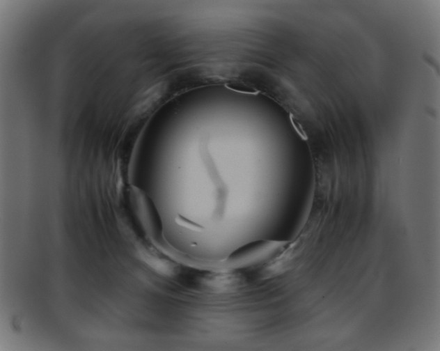 X0000095690128200801081256