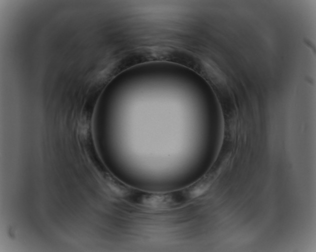 X0000095690129200801081256