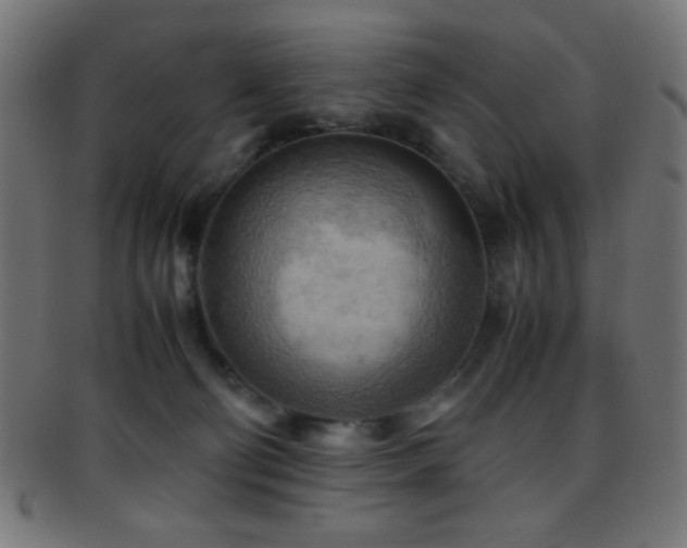 X0000095690130200801081256