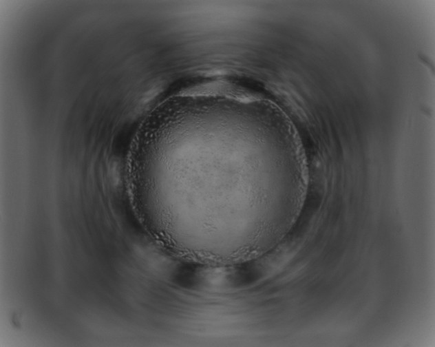 X0000095690131200801081256
