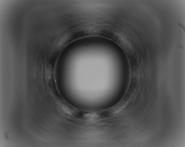 X0000095690133200801081256