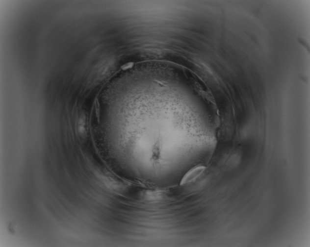 X0000095690134200801081256