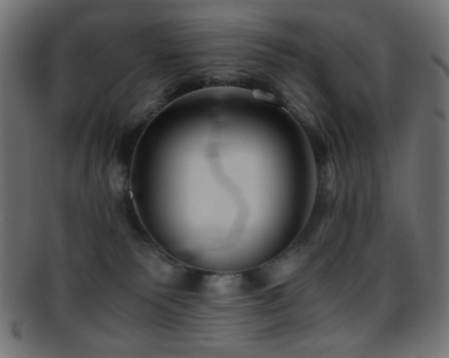 X0000095690135200801081256