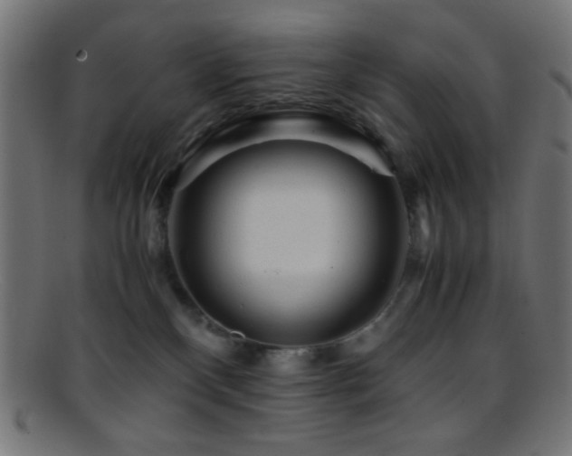 X0000095690136200801081256