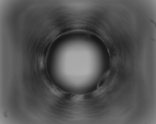 X0000095690138200801081256