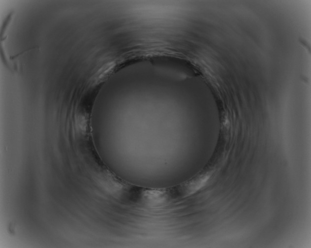 X0000095690139200801081256