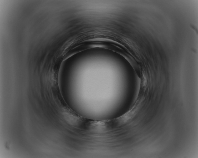 X0000095690140200801081256