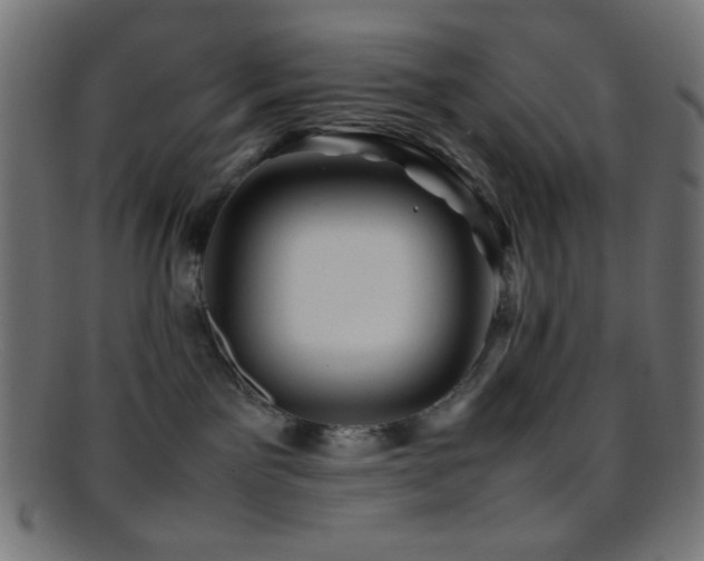 X0000095690141200801081256