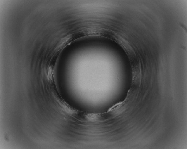 X0000095690142200801081256