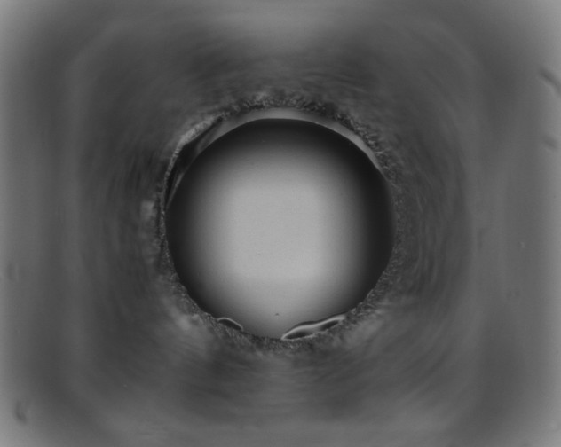 X0000095690144200801081256
