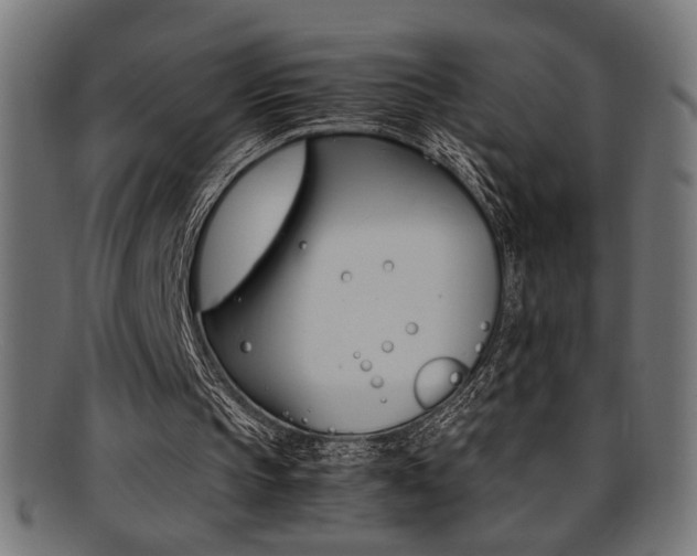 X0000095690145200801081255
