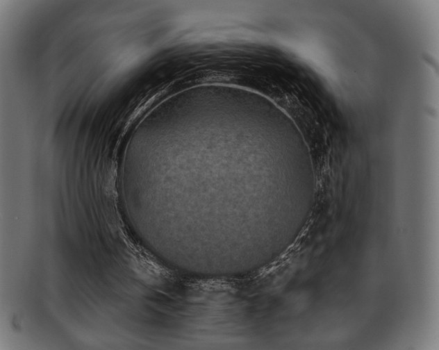X0000095690146200801081255