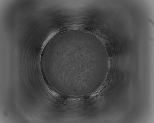 X0000095690147200801081255