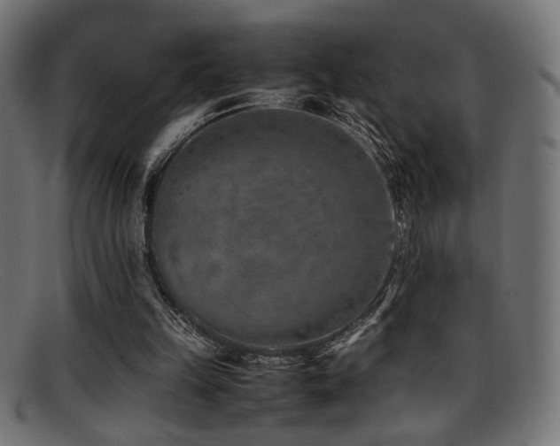 X0000095690149200801081255