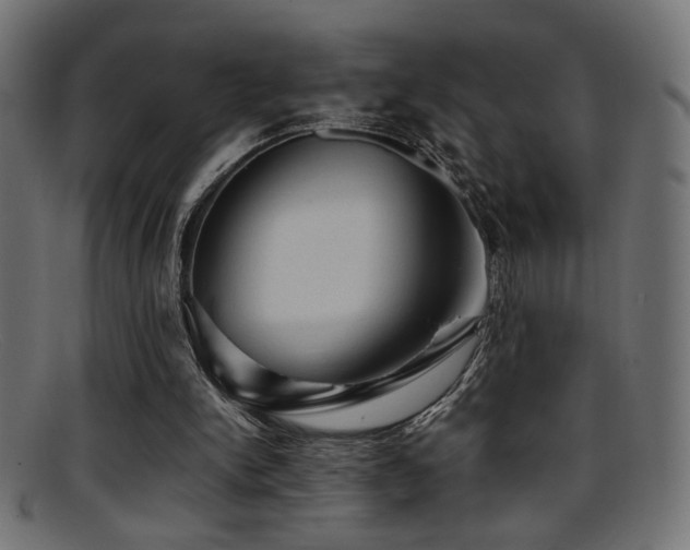 X0000095690150200801081255