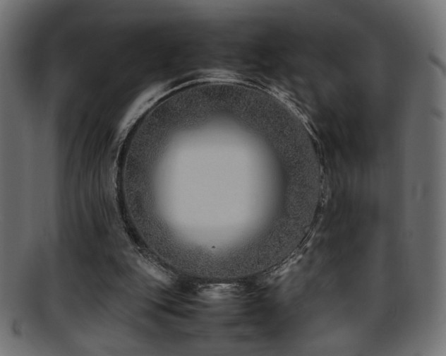 X0000095690151200801081256