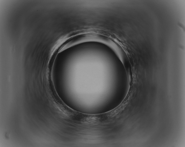 X0000095690152200801081256
