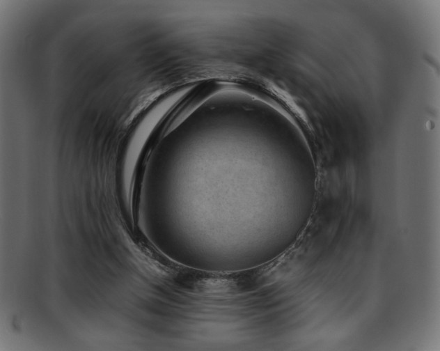 X0000095690154200801081256