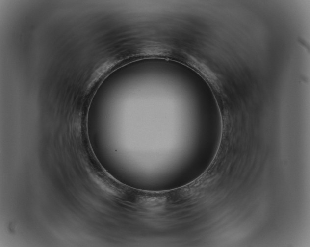 X0000095690155200801081256