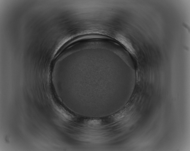 X0000095690156200801081256