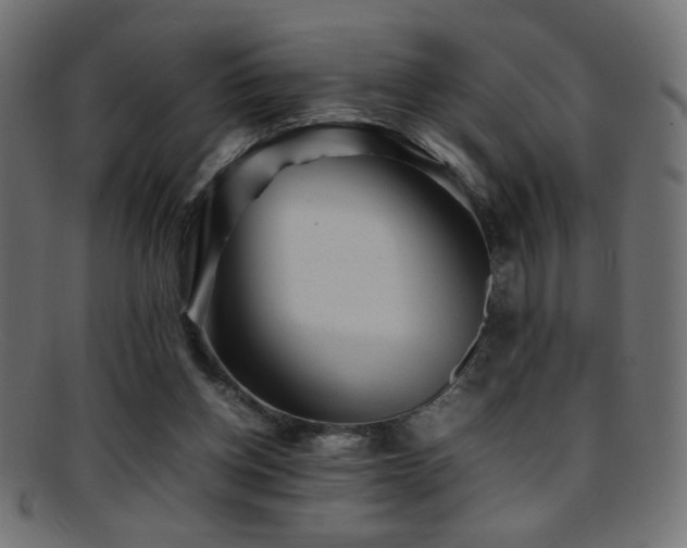 X0000095690158200801081256