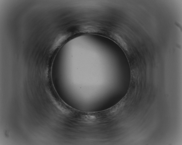 X0000095690159200801081256