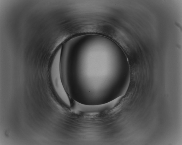 X0000095690160200801081256