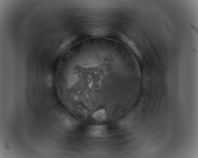 X0000095690161200801081256