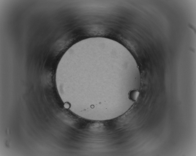 X0000095690162200801081256