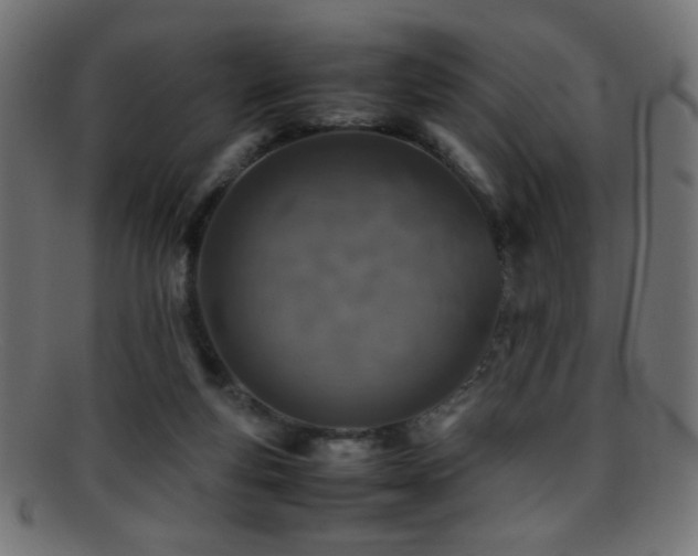 X0000095690163200801081256