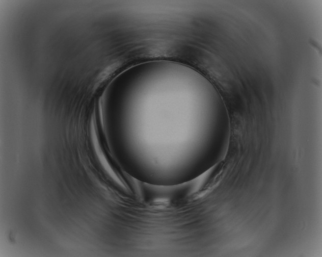 X0000095690164200801081256