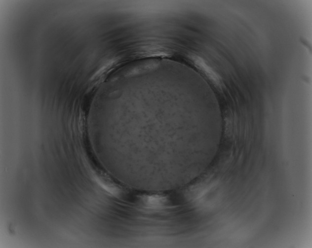 X0000095690165200801081256
