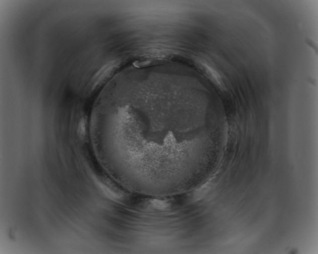 X0000095690166200801081256